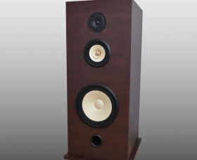 Напольная трехполосная   акустика «POWER»